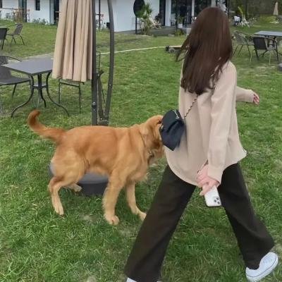 范丹戈